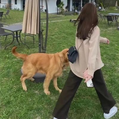 死亡与变形